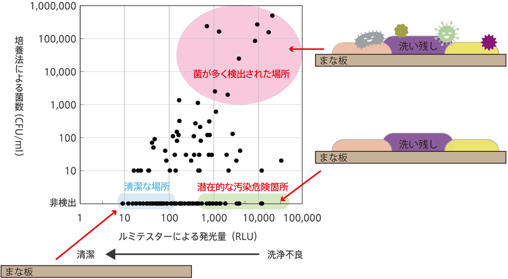 ATP測定値≠菌数